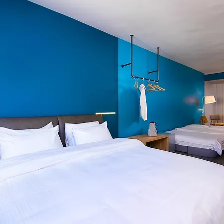 Urban Donkey * Salonic